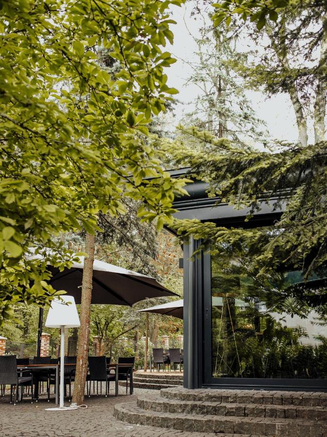 Lion'S Castle Hotel 리비프 외부 사진